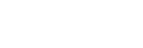 1XBET